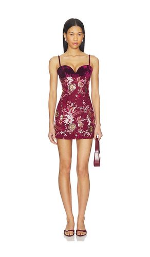 ROBE AURA en . Taille 0. Also en 4, 6, 8 - SAU LEE - Modalova