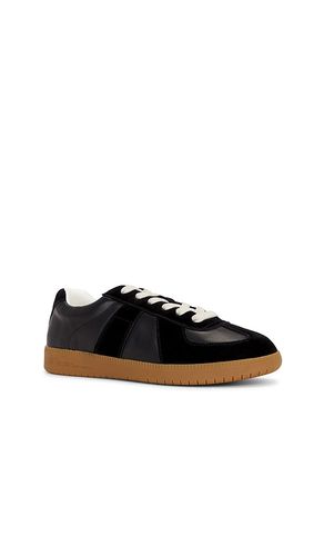 SNEAKERS DIXON en . Taille 10. Also en 10.5, 11, 8, 8.5, 9, 9.5 - Steve Madden - Modalova