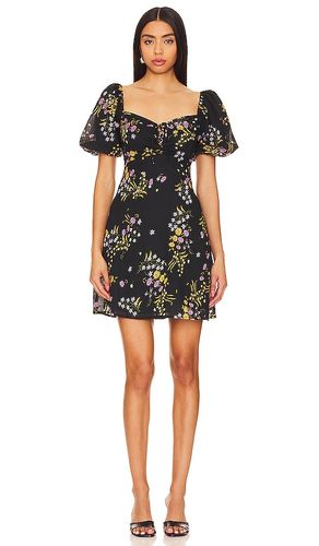 ROBE VIOLETA in . Size M, S, XS - Steve Madden - Modalova