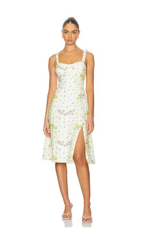 ROBE CARLYNN en . Taille 4. Also en - Steve Madden - Modalova