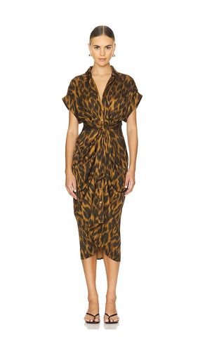ROBE TORI en . Taille 0. Also en 2, 4, 6 - Steve Madden - Modalova