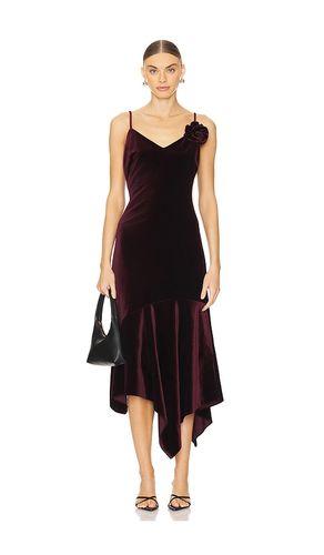 ROBE LUCILLE in . Size S, XL, XS - Steve Madden - Modalova