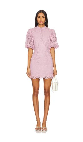 ROBE DIYA in . Size 10, 12, 2, 6 - Steve Madden - Modalova