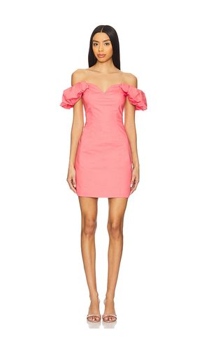 ROBE BORDEAUX en . Taille 0. Also en 10, 2, 4, 6, 8 - Steve Madden - Modalova