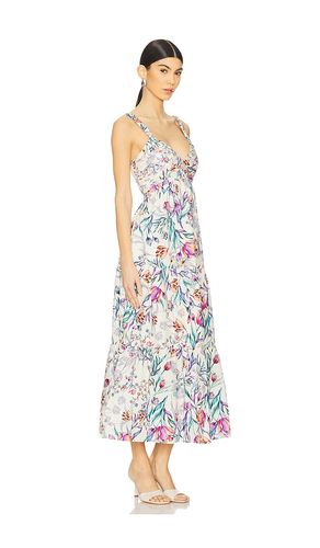 ROBE MI-LONGUE ELIORA en ,. Taille M. Also en L, XL - Steve Madden - Modalova