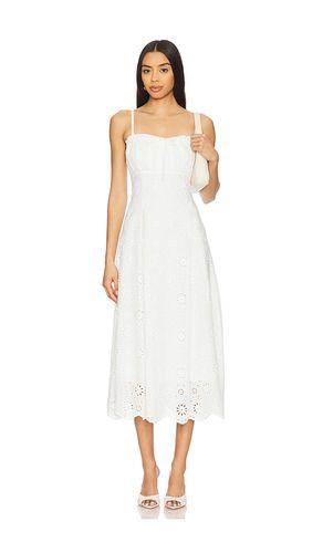ROBE AVA in . Size M, S, XL - Steve Madden - Modalova