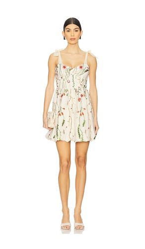 ROBE KAVALA en . Taille 0. Also en 10, 12, 2, 4, 6, 8 - Steve Madden - Modalova