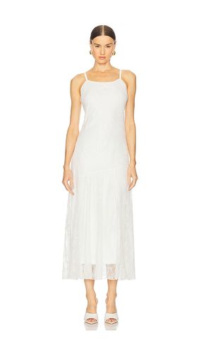 ROBE VEERA en . Taille L. Also en M - Steve Madden - Modalova