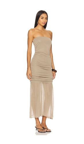 ROBE LULA en . Taille L. Also en M - Steve Madden - Modalova