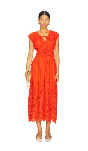 ROBE CLEMENTINA en . Taille L. Also en M, S, XS - Steve Madden - Modalova