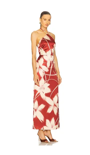 ROBE OAKLYN en . Taille 0. Also en 10, 12, 2, 4, 6, 8 - Steve Madden - Modalova