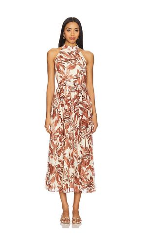 ROBE ROSEMARY en . Taille 0. Also en 10, 14, 2, 4, 6, 8 - Steve Madden - Modalova