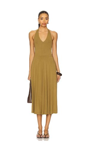 ROBE MI-LONGUE HAZEL en . Taille M. Also en XL - Steve Madden - Modalova