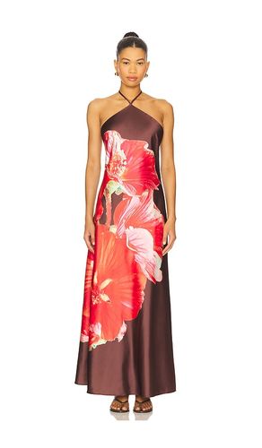 ROBE FLORA in . Size 10, 12, 14, 2, 4, 6, 8 - Steve Madden - Modalova