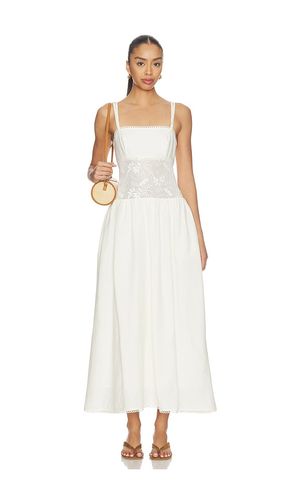 ROBE ENZA en . Taille 0. Also en 8 - Steve Madden - Modalova