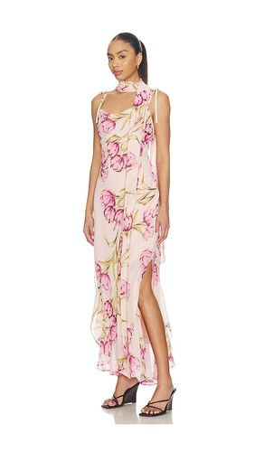 ROBE JAILA en . Taille 0. Also en 10, 6, 8 - Steve Madden - Modalova
