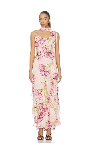 ROBE JAILA en . Taille 0. Also en 10, 12, 2, 4, 6, 8 - Steve Madden - Modalova