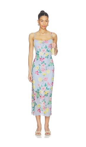 ROBE GISELLY en . Taille L. Also en M, S, XS - Steve Madden - Modalova