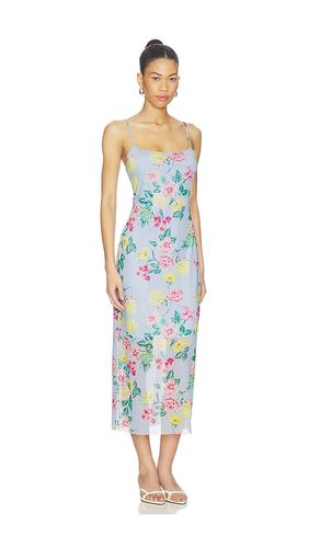 ROBE GISELLY en . Taille S. Also en XS, M, L - Steve Madden - Modalova