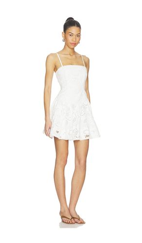 ROBE GIADA en . Taille 4. Also en - Steve Madden - Modalova