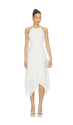 ROBE DALINA en . Taille L. Also en M, S, XL - Steve Madden - Modalova