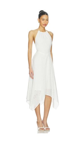 ROBE DALINA en . Taille L. Also en M, S, XL - Steve Madden - Modalova