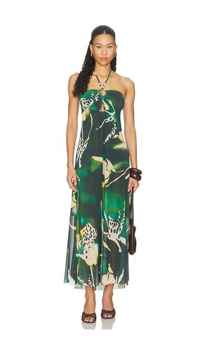 ROBE STRADA en . Taille L. Also en M, S, XS - Steve Madden - Modalova