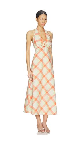 ROBE TANIA en ,. Taille S. Also en XS, M, XL - Steve Madden - Modalova