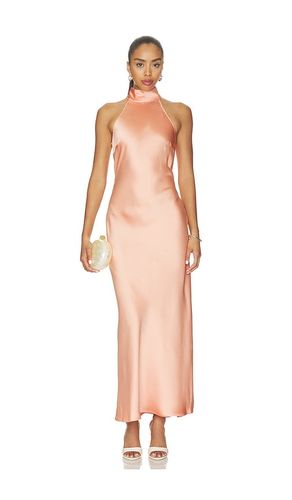 ROBE HALTER en . Taille M. Also en S, XL, XS - Steve Madden - Modalova