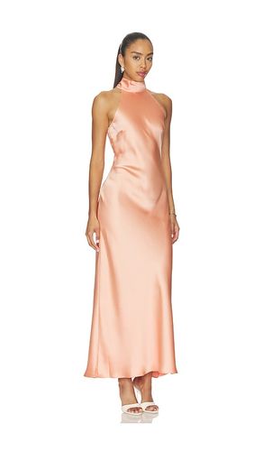 ROBE HALTER en . Taille M. Also en S, XL, XS - Steve Madden - Modalova