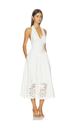ROBE MARGIE en . Taille 0. Also en 2, 6, 10 - Steve Madden - Modalova