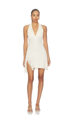 ROBE NINI en . Taille L. Also en M, S, XL, XS - Steve Madden - Modalova