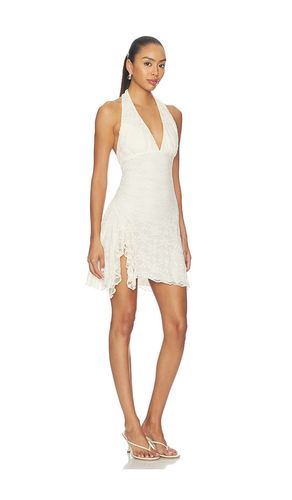 ROBE NINI en . Taille L. Also en S, XS - Steve Madden - Modalova