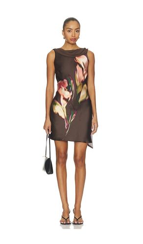 ROBE MANI en . Taille L. Also en M, S, XL, XS - Steve Madden - Modalova