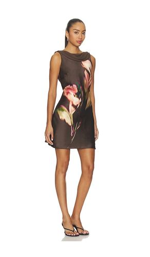ROBE MANI en . Taille L. Also en M, S, XL, XS - Steve Madden - Modalova