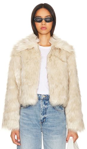 MANTEAU IMITATION FOURRURE JUNIPER in . Size S, XL, XS - Steve Madden - Modalova