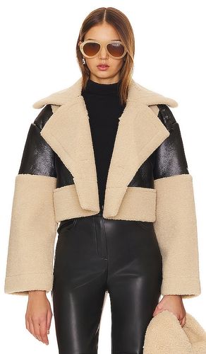 MANTEAU IMITATION CUIR ALAINA en . Taille L. Also en M, S, XL - Steve Madden - Modalova