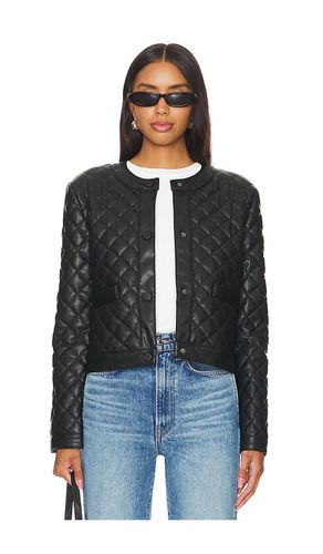 BLOUSON MARTINE in . Size XL - Steve Madden - Modalova