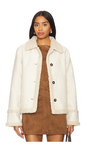 BLOUSON MIEL en . Taille L. Also en XL - Steve Madden - Modalova