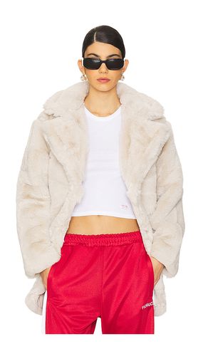 MANTEAU SNOW in . Size M, S, XL - Steve Madden - Modalova