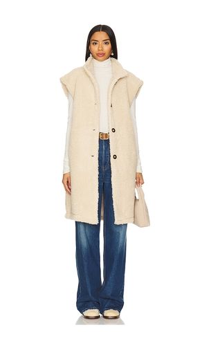GILET BENIT en . Taille L. Also en XL - Steve Madden - Modalova