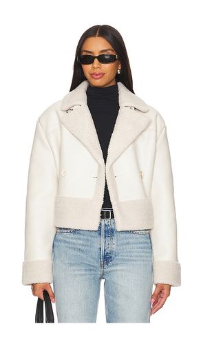 BLOUSON ATHEN in . Size XL, XS - Steve Madden - Modalova