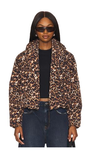 BLOUSON EVY en . Taille M. Also en S, XL, XS - Steve Madden - Modalova