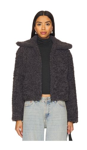 BLOUSON PIPPIN en . Taille L. Also en M, S, XL, XS - Steve Madden - Modalova