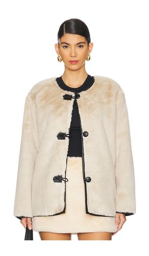 BLOUSON YUNA en . Taille L. Also en XL - Steve Madden - Modalova