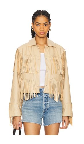 BLOUSON HALIA en . Taille L. Also en M, S, XS - Steve Madden - Modalova