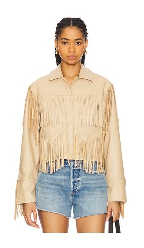 BLOUSON HALIA en . Taille L. Also en M, XS - Steve Madden - Modalova