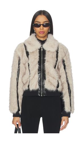 BLOUSON CHARMAINE en . Taille L. Also en M, S, XL, XS - Steve Madden - Modalova