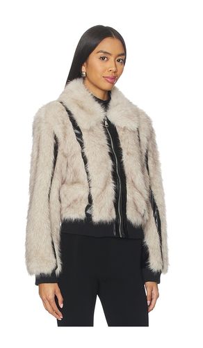 BLOUSON CHARMAINE en . Taille S. Also en XS, M, L, XL - Steve Madden - Modalova
