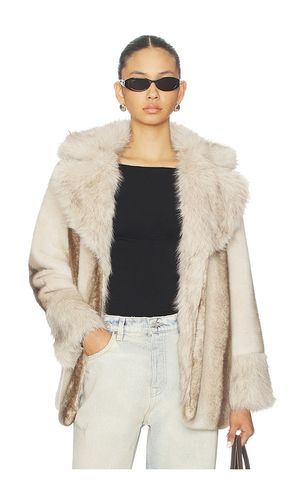 MANTEAU CARMELINA en . Taille L. Also en - Steve Madden - Modalova